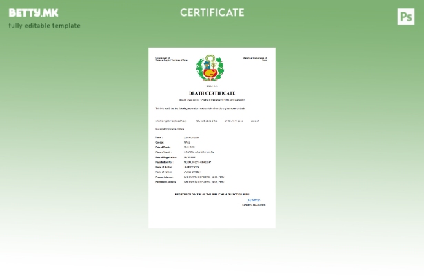 модерен стил Перу витален рекорд за смртен шаблон Word и PDF шаблон